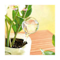 Miniatyrbilde 3 av 5: 16 stk Selvvannende Glødelamper for Planter, Automatisk Vanningsanordning for Potteplanter