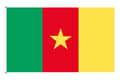 Kamerun flagg Grønn-FF- Green Cameroon