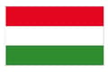 【YD】Ungarsk flagg 100 100 100 Hungary