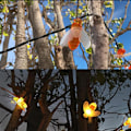Pikkukuva 4 / 8: Dotpet Solar String Lights 20LED ulkona Vedenpitävä Simulointi Mehiläis Dekor Puutarhaan Joulukoristeet Lämmin Valkoinen