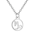 Miniatyrbild 1 av 3: Halsband Stjärntecken STENBOCKEN Zodiak Capricorn Rostfritt Stål silver