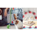 Miniatyrbild 7 av 10: Interactive Cat Toy / Toy for Cat - Moving Ball 82