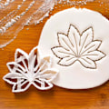 Miniatyrbilde 8 av 8: 4 stk. Kake Embosser Form Kjeksform Agave Ivy-XF3-
