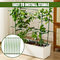 Miniatyrbillede 2 af 5: 10 stk. Plantestøtteforbindelser Fleksible Robuste Rustfri Plast Koblingsstang Støtte Udvidbare Havegrøntsager Tomatbur Hegn Arm Have L