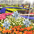 Miniatyrbillede 4 af 5: INF Vindmøller / Reflekterende Fugleskræmsler-XF10- 10-pack 10-pakke