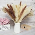 Miniatyrbilde 4 av 5: 85 stk. Tørket Pampasgress R Pompass Gress Grener Tørket Bukett Boho Hjem R