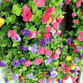 Miniatyrbild 5 av 5: Färgglad Vår Sommarkrans, Färgglad Vår Sommarkrans Heminredning Färgglad Cottage Krans Världsklassdesign