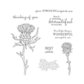 Miniatyrbilde 2 av 5: Stempel og Dies For Ma, DIY Scra Kunst Håndverk Stam Silic Stempel Ratio