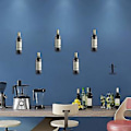 Miniatyrbild 5 av 5: H, 6-pack Monterat Rack, Metallflaskdisplay H För Stora