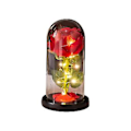 Miniatyrbillede 1 af 5: LED I Glas Dag Kunstig Til R Bryllup Nytår B