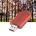 Miniatyrbillede 3 af 4: USB Flash Disk, Oval Rosenpalisander Træ USB USB Flash Hukommelse U Disk Strømlinet Design