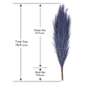 Miniatyrbillede 2 af 5: Pampasgræs 12 stk. 45 cm, Kunstig Pampasgræs Pampas R, Kunstig Pampasgræs Sho