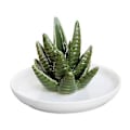 Pikkukuva 1 / 5: Keraaminen sormusteline, keraaminen sormusteline Aloe-sormuskoruteline Aloe-sormusteline huolellisesti suunniteltu