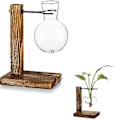 Miniatyrbild 3 av 5: Transparent Vas Skrivbord Träställ Glas Klar Växtvas för Hemmabord Skrivbord Inredning