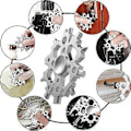 Miniatyrbild 5 av 5: Present till män, Snöflinga Multiverktyg med Fidget Spinner-funktion, Ficköverlevnadsutrustning