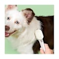 Miniatyrbillede 4 af 5: Hunde Ging Kam Tæt Tandet Kam Flydende H Fjernelse Knude Kam Børste H Fjernelse Værktøj Kæledyr Wh