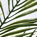 Miniatyrbillede 2 af 5: 18 stk. Kunstige Palmer Blade Planter Falske Palmer Grene Tropiske Store Palmer Blade Grønne Planter Til