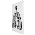 Miniatyrbild 5 av 5: Anatomisk Canvas, Anatomisk Canvas Retro Dekorativ Väggkonst Dekoration Retro Hängande Målning Smidig Funktion