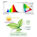 Miniatyrbilde 4 av 5: LED Vekstlys Fullspektrum Phyto Lampe for Planter 100W LED Vekstlampe Phytolampe Drivhus Vekstbelysning Ledning Plugg
