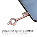 Pikkukuva 2 / 5: Usb 2.0 Metallinen Usb-muistitikku Usb-flash-asema Avain (, 8gb)