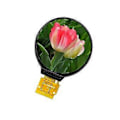 Pikkukuva 1 / 5: 1,28 tuuman IPS LCD -näyttö, värikäs LCD-pyöreä 240x240-näyttö HD Ips LCD GC9A01 -ohjain