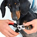 Miniatyrbillede 5 af 5: Kæledyrstrimmerklipper af mindre stål til kæledyrspleje af hunde, katte, S, S osv.