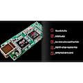 Miniatyrbild 5 av 5: Amanero Combo384 Modul Dsd512/pcm384 32bit För Ak4497 Es9038 Ak4493 Dekoders (standardkristall)