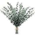Miniatyrbild 1 av 3: 20 stjälkar konstgjord eukalyptus, äkta touch, falska silverdollarblad konstgjorda växter för jul, blomsterarrangemang, brudbuketter,