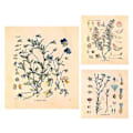 Miniatyrbild 2 av 5: 3 st Blomsterväv Gobeläng Väggbonad Vildblomma Växt Floral Gobeläng Diagram Liten Gobeläng För Sovrum