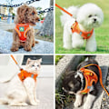 Miniatyrbillede 5 af 5: Katteseler og snore - Kattesele Anti-Escape Reflekterende Justerbar Kattesele Åndbar Vest Lille Hundesele (M)