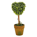 Pikkukuva 4 / 5: En Grass Ball Topiary Tree Pot Kuivattu Kasvi Häihin R(-sd)