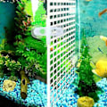 Miniatyrbilde 3 av 5: 10 stk Akvarium Skillevegg Fisketank Skillevegg Filter Gitter Separasjon Gitterbrett Isolasjonsplate Gitter Wit