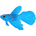Miniatyrbillede 1 af 5: Akvarie Plast Swimbait Fisk, SiliCone Lille Fisk Realistisk og Falsk Akvarie Dekoration (Blå Betta)-Fei Yu