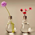 Miniatyrbillede 4 af 5: Transparent Glasbordvase med Pære til Planter Blomster Have Bryllupsdekoration