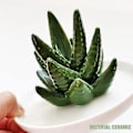 Pikkukuva 3 / 5: Keraaminen sormusteline, keraaminen sormusteline Aloe-sormuskoruteline Aloe-sormusteline huolellisesti suunniteltu