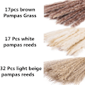 Miniatyrbillede 3 af 5: 66 stk. tørret pampasgræs med 3 farver fluffy svingende DIY boho plante dekorativ blomsterbuket