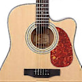 Miniatyrbild 4 av 5: 8-pack Akustisk Gitarr Plektrumskydd Självhäftande Kolibri- och Vattenformade Gitarrplektrumskydd för 40-tums och 41-tums Gitarr