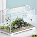 Miniatyrbilde 4 av 5: Akvarium Fisketank CO2 Diffuser Karbondioksidreaktor med Keramisk Skive + 2 Sugekopper