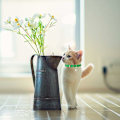 Miniatyrbillede 5 af 5: 8 håndlavede klokker i læder til katte med holdbart justerbart metalspænde til små dyr udendørs og indendørs