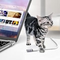 Miniatyrbild 5 av 5: 5a Magnetisk Adapter Usb C Hane Till Hona 100w Pd Snabbladdning Magnet Usb C Data Adapter Otg Anslutning, Rak