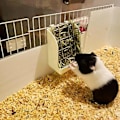 Pikkukuva 5 / 5: Grass Frame Er M Teline Nlla Kiinteä Käännettävä H Grass B