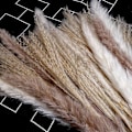 Miniatyrbillede 4 af 5: 66 stk. tørret pampasgræs med 3 farver fluffy svingende DIY boho plante dekorativ blomsterbuket