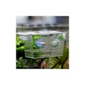 Miniatyrbillede 2 af 5: Flydende redekasse 2 i 1 akvarium avlsfisk rugekasse (12 x 7 x 7 cm) - Fei Yu