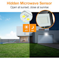 Miniatyrbillede 3 af 4: 30W LED-projektør Sort bevægelsessensor Varm hvid 3000K