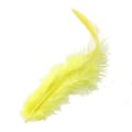 Miniatyrbillede 2 af 3: 50 stk. Farvede S Fjer til Rotte 10 - 15 cm - Gul