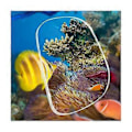 Miniatyrbild 2 av 5: Dykmask Justerbar Vuxen Snorkelmask Simglasögon Professionell Dykutrustning