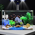 Miniatyrbillede 2 af 5: Rium Tank Co2 Diffuser Dioxid Reaktor Med Keramisk Skive + 2 Sugekopper