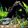 Miniatyrbillede 3 af 5: 36 stk. Resin Havdyr Figurer Ornamenter Miniature Havdyr Mini Resin Figurer Akvarium Ornamenter