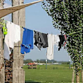 Miniatyrbillede 3 af 5: Udtrækkelig tørresnor, 10 meter anti-viklings vaskesnor, justerbar camping vaskesnor til camping udendørs indendørs