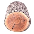 Miniatyrbillede 4 af 5: Log Cush Touch Sofa Bil Log N Stub Interiør